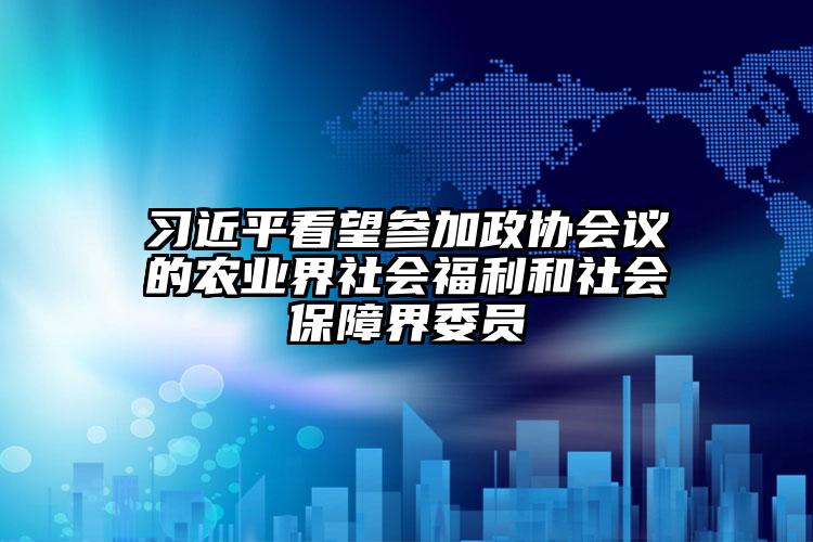 习近平看望参加政协会议的农业界社会福利和社会保障界委员