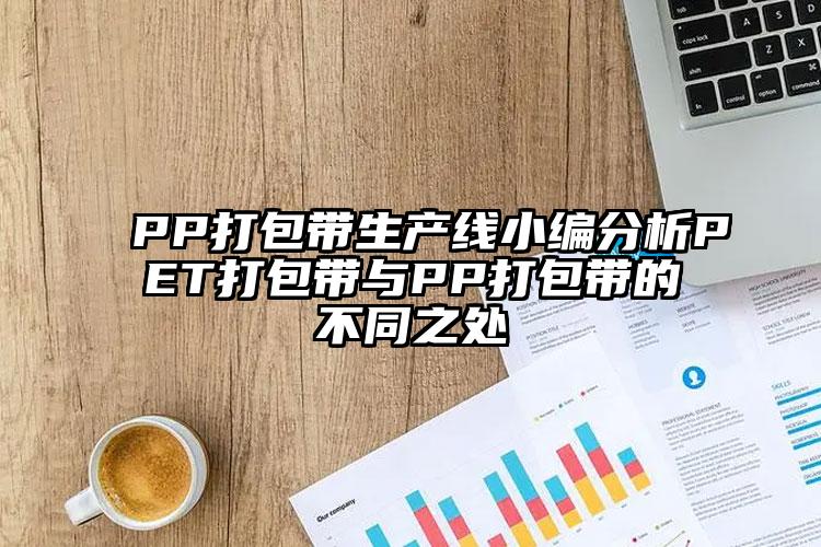PP打包带生产线小编分析PET打包带与PP打包带的不同之处